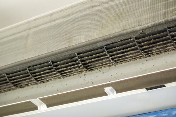 Best Professional Duct Cleaning Services  in Moodys, OK